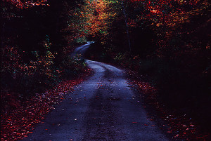 091064.dark.winding.road.600