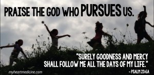 pursue (2)