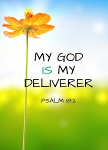 deliverer